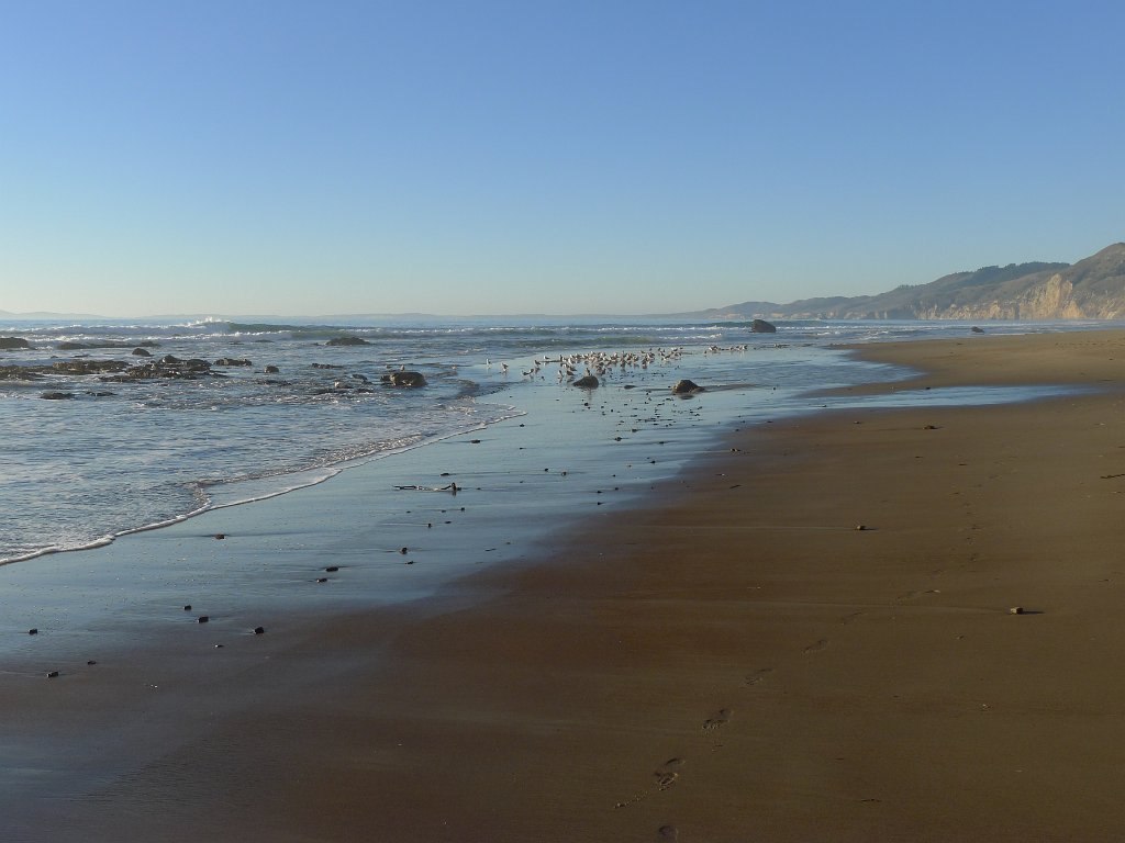 2014-01-17 PointReyesCamping 142